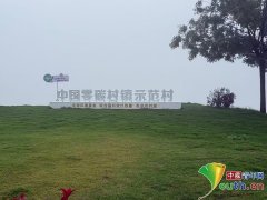 农业出产效率